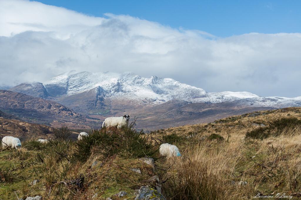 Beautiful landscape view on hillwalking route Old Kenmare Road from Killarney