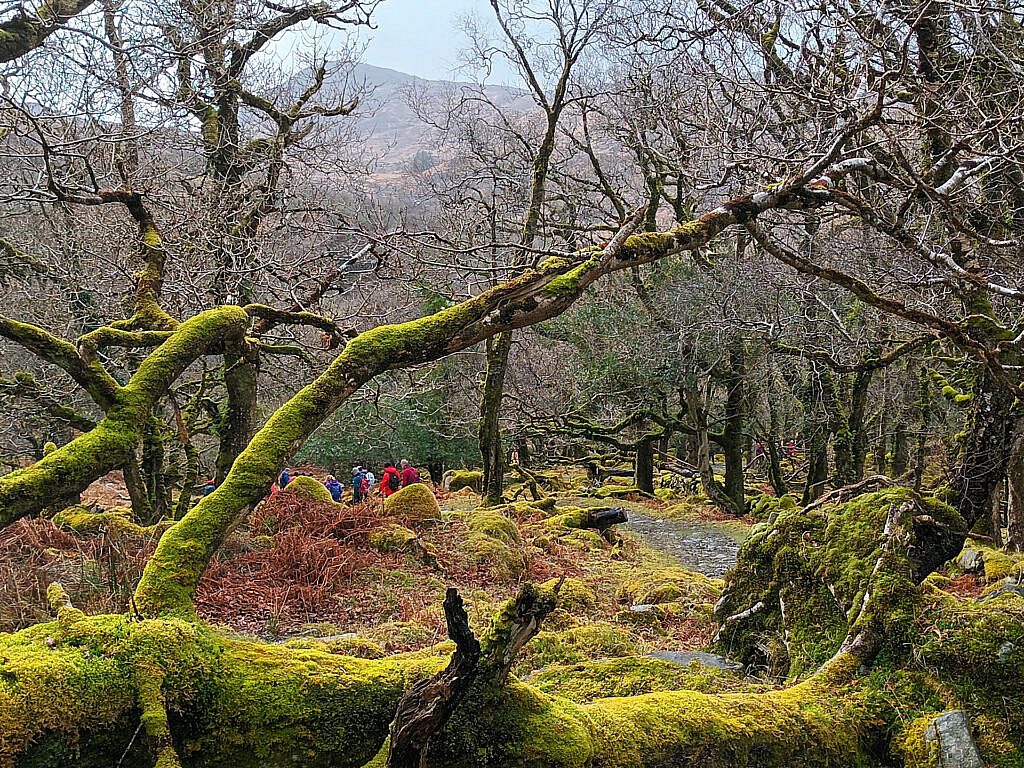 Beautiful landscape view on hillwalking route Old Kenmare Road from Killarney