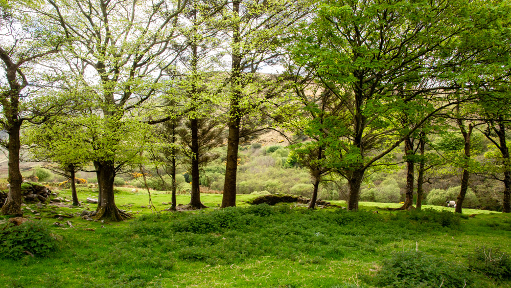 Beautiful landscape view on hillwalking route Killiney to Baile Dubh Linear Walk