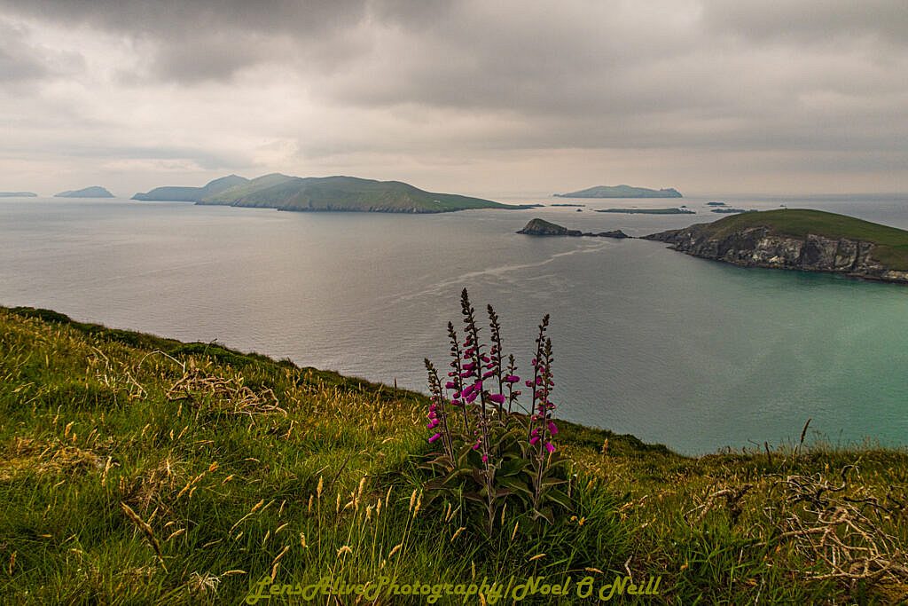 Beautiful landscape view on hillwalking route Cruach Mhárthain & Sliabh an Iolair