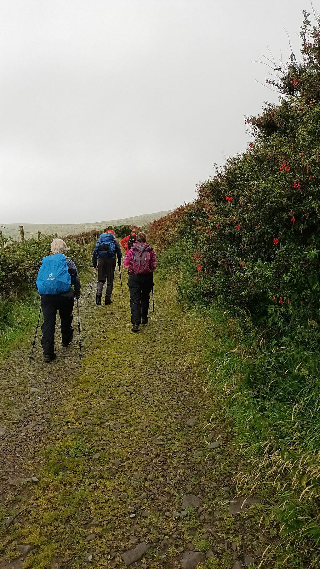 Beautiful landscape view on hillwalking route An Cnoc Maol Mór Circuit