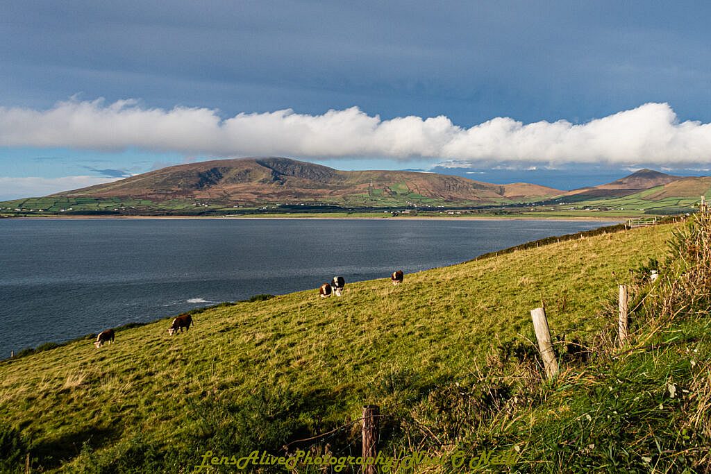Beautiful landscape view on hillwalking route Sliabh an Iolair (Mount Eagle) from Coumeenoole