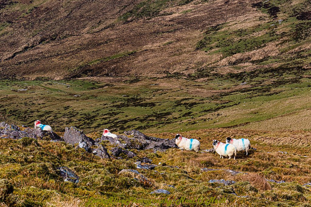 Beautiful landscape view on hillwalking route Barra na Conrach - Cruach Scéirde - An Cnapán Mór