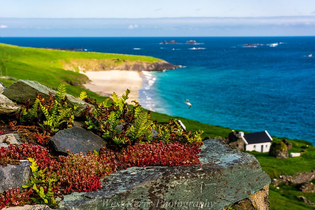 Beautiful landscape view on hillwalking route An Blascaod Mór, The Great Blasket Island (Nósfaidh an Aimsir - Weather Dependent)