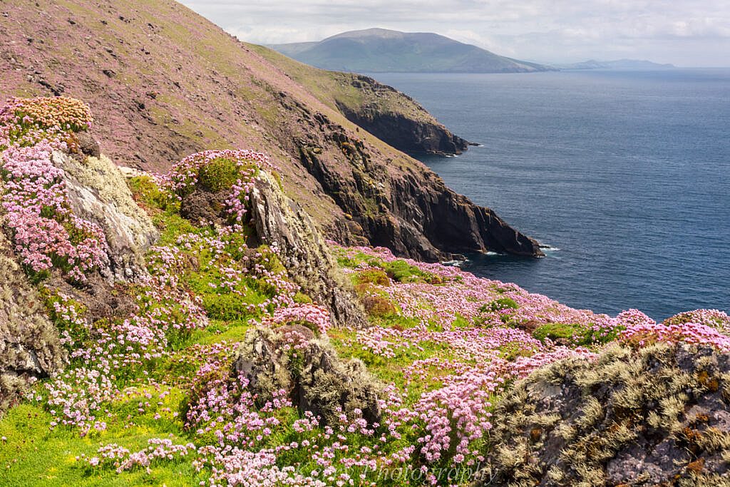 Beautiful landscape view on hillwalking route An Blascaod Mór, The Great Blasket Island (Nósfaidh an Aimsir - Weather Dependent)
