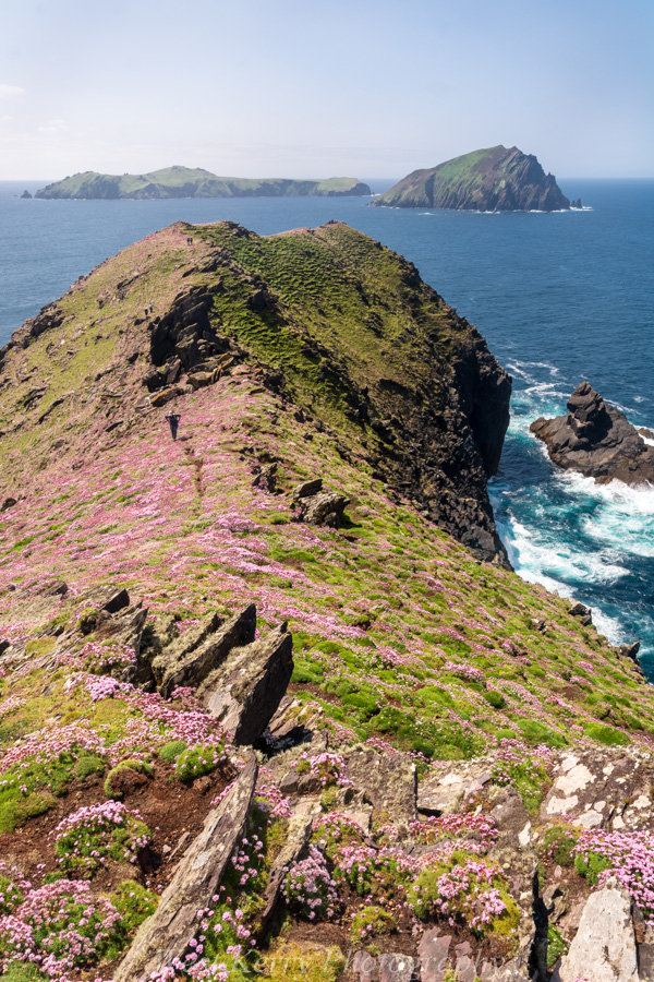 Beautiful landscape view on hillwalking route An Blascaod Mór, The Great Blasket Island (Nósfaidh an Aimsir - Weather Dependent)