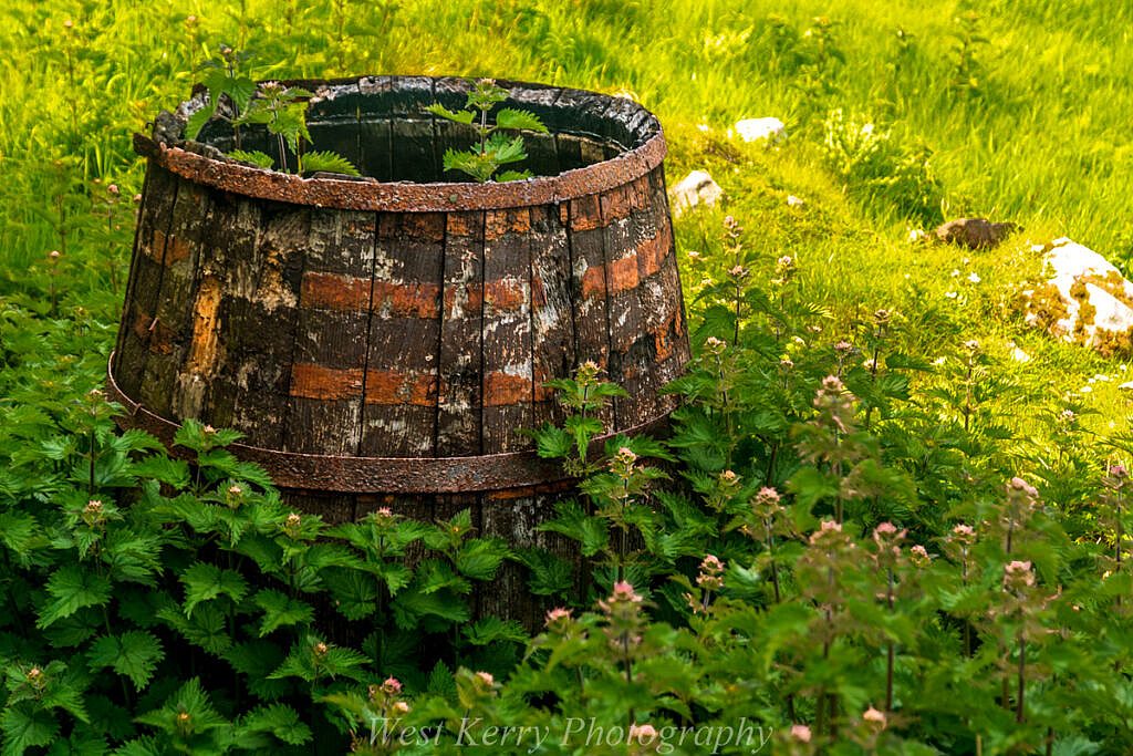 Beautiful landscape view on hillwalking route An Blascaod Mór, The Great Blasket Island (Nósfaidh an Aimsir - Weather Dependent)