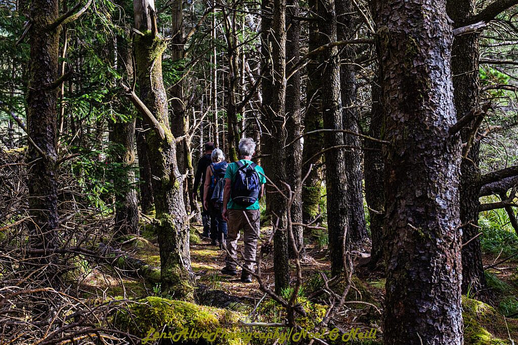 Beautiful landscape view on hillwalking route Glanteenassig - Stradbally Mountain - Beenoskee
