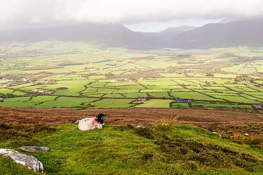 Beautiful landscape view on hillwalking route Meelin Hill - Maum Road - Annascaul Loop