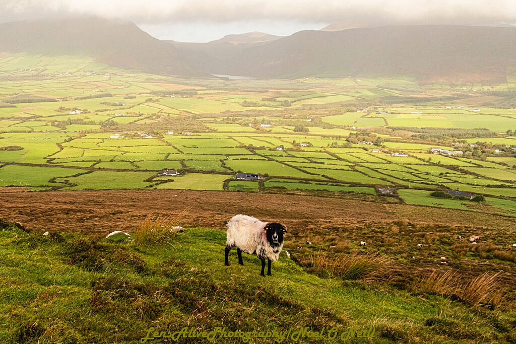 Beautiful landscape view on hillwalking route Meelin Hill - Maum Road - Annascaul Loop
