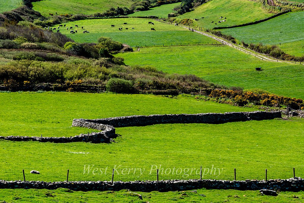 Beautiful landscape view on hillwalking route Coumbowler Loop