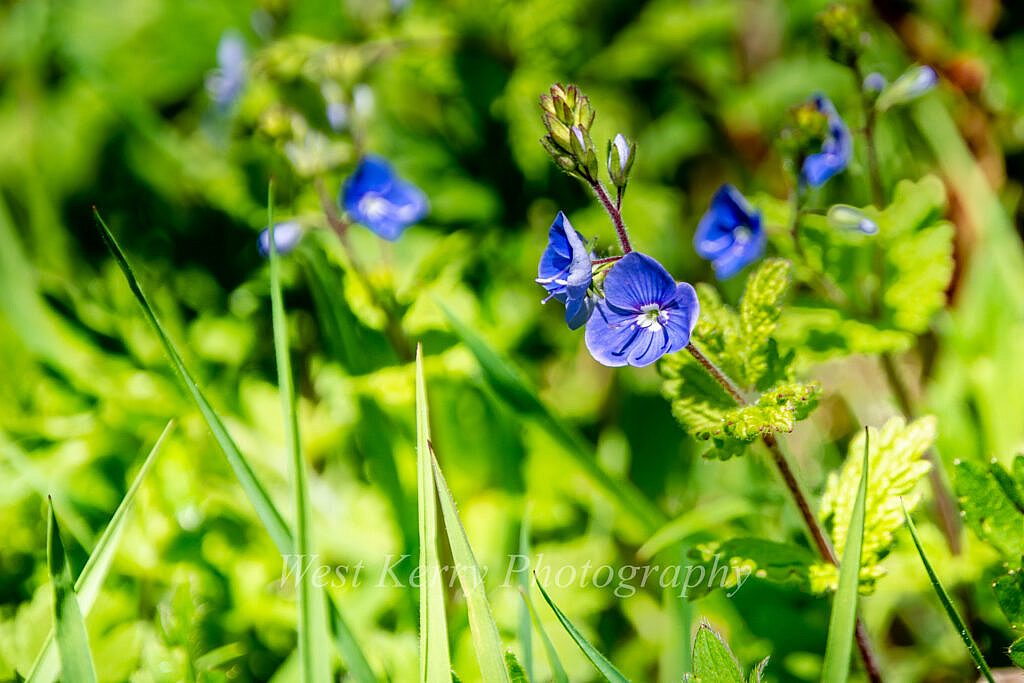 Beautiful landscape view on hillwalking route Coumbowler Loop