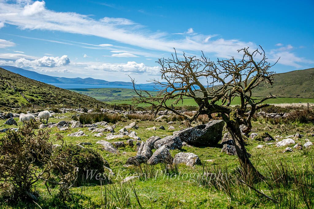 Beautiful landscape view on hillwalking route Coumbowler Loop