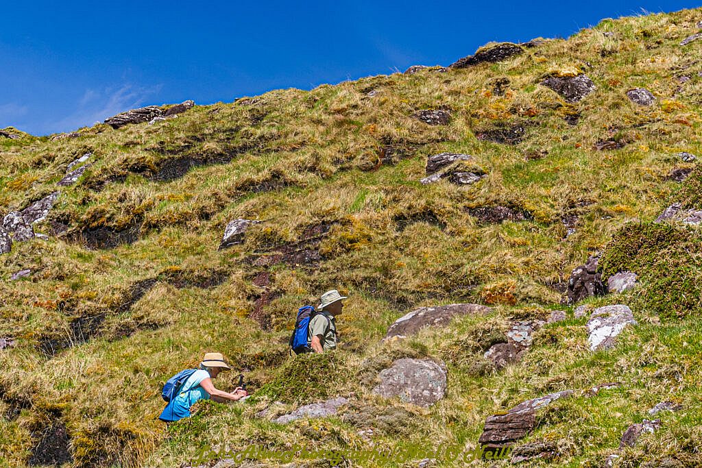 Beautiful landscape view on hillwalking route Baile an Lochaigh - Cruach Bhréanainn