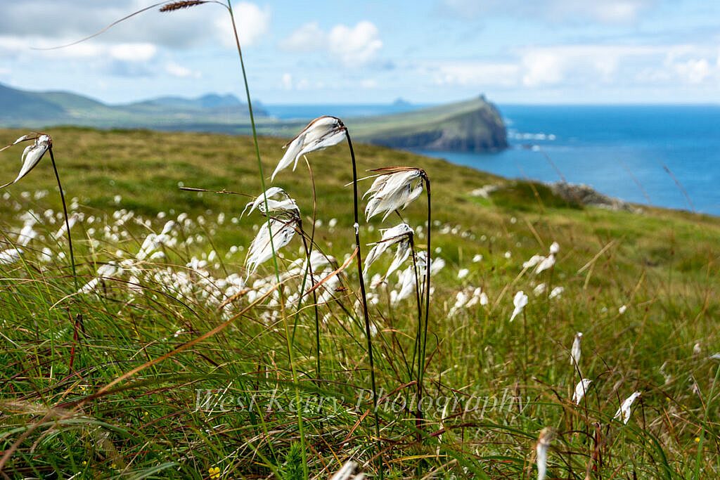 Beautiful landscape view on hillwalking route Ballydavid Head Loop