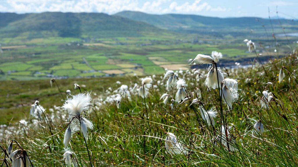Beautiful landscape view on hillwalking route Ballydavid Head Loop