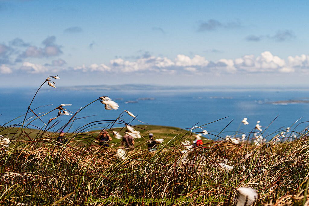Beautiful landscape view on hillwalking route Brandon Point - Más an Tiompán - Teer