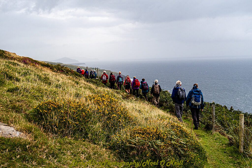 Beautiful landscape view on hillwalking route Coumeenole (Com Dhineól) to Ventry via Fán along The Dingle Way